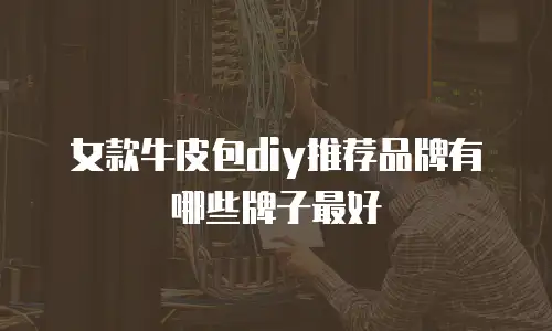 女款牛皮包diy推荐品牌有哪些牌子最好