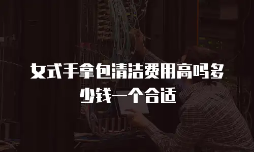 女式手拿包清洁费用高吗多少钱一个合适