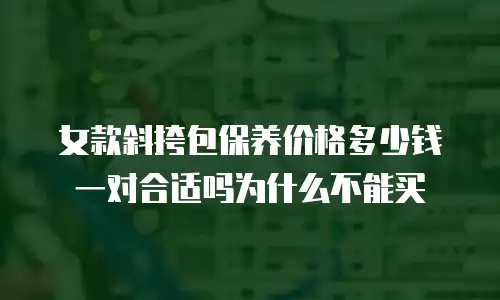 女款斜挎包保养价格多少钱一对合适吗为什么不能买