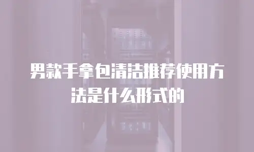 男款手拿包清洁推荐使用方法是什么形式的