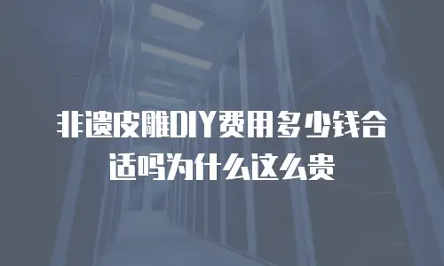 非遗皮雕DIY费用多少钱合适吗为什么这么贵