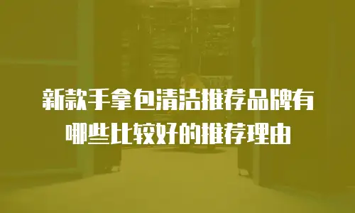 新款手拿包清洁推荐品牌有哪些比较好的推荐理由