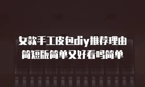 女款手工皮包diy推荐理由简短版简单又好看吗简单