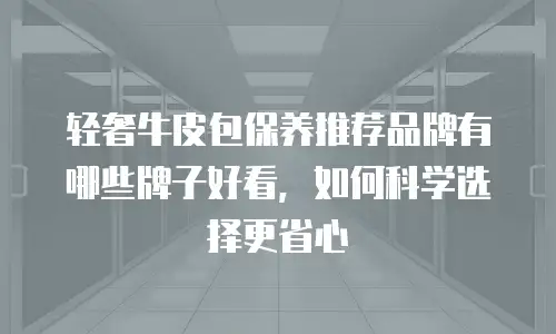 轻奢牛皮包保养推荐品牌有哪些牌子好看，如何科学选择更省心