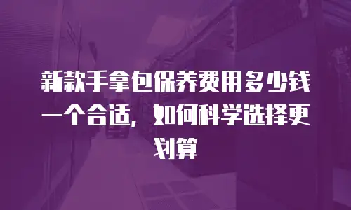 新款手拿包保养费用多少钱一个合适，如何科学选择更划算