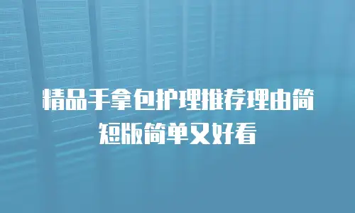 精品手拿包护理推荐理由简短版简单又好看
