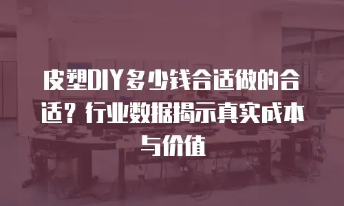 皮塑DIY多少钱合适做的合适？行业数据揭示真实成本与价值