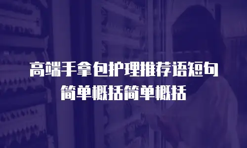 高端手拿包护理推荐语短句简单概括简单概括