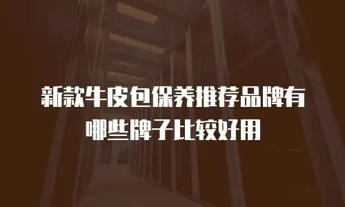 新款牛皮包保养推荐品牌有哪些牌子比较好用