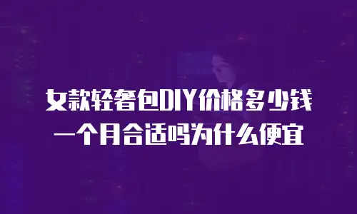 女款轻奢包DIY价格多少钱一个月合适吗为什么便宜
