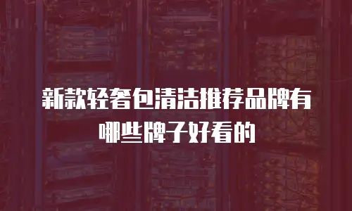 新款轻奢包清洁推荐品牌有哪些牌子好看的