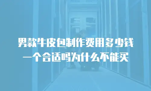 男款牛皮包制作费用多少钱一个合适吗为什么不能买