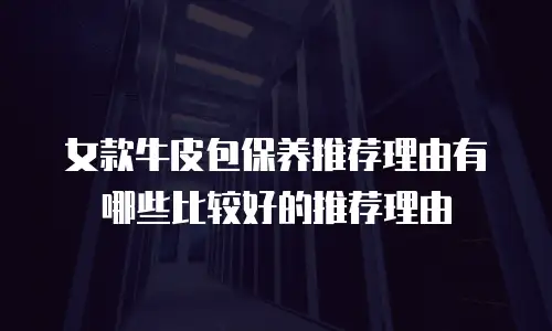 女款牛皮包保养推荐理由有哪些比较好的推荐理由