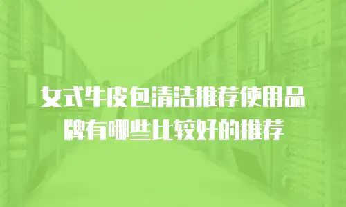 女式牛皮包清洁推荐使用品牌有哪些比较好的推荐