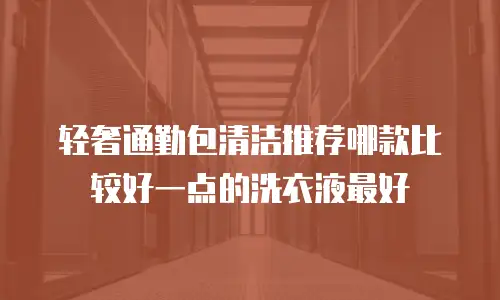 轻奢通勤包清洁推荐哪款比较好一点的洗衣液最好