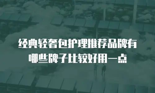 经典轻奢包护理推荐品牌有哪些牌子比较好用一点