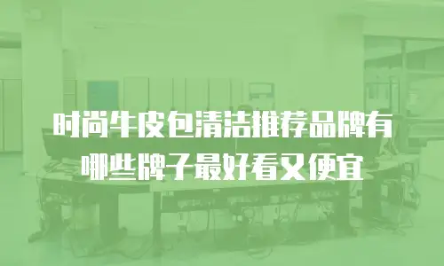 时尚牛皮包清洁推荐品牌有哪些牌子最好看又便宜