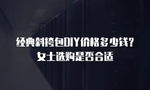 经典斜挎包DIY价格多少钱？女士选购是否合适
