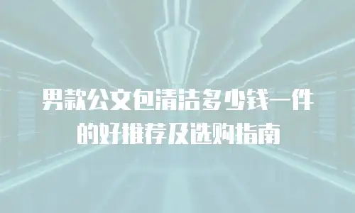 男款公文包清洁多少钱一件的好推荐及选购指南