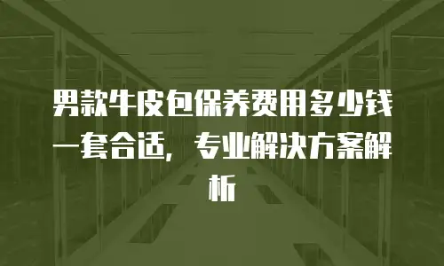 男款牛皮包保养费用多少钱一套合适，专业解决方案解析