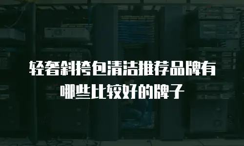 轻奢斜挎包清洁推荐品牌有哪些比较好的牌子