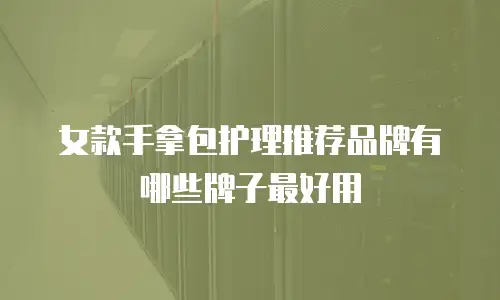 女款手拿包护理推荐品牌有哪些牌子最好用