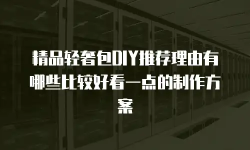 精品轻奢包DIY推荐理由有哪些比较好看一点的制作方案