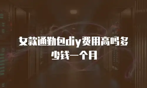 女款通勤包diy费用高吗多少钱一个月