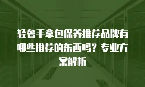 轻奢手拿包保养推荐品牌有哪些推荐的东西吗？专业方案解析
