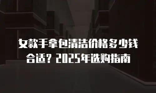 女款手拿包清洁价格多少钱合适？2025年选购指南