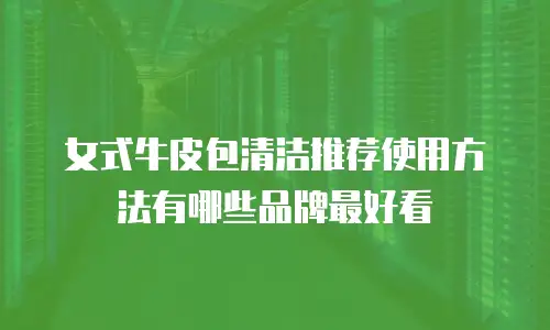 女式牛皮包清洁推荐使用方法有哪些品牌最好看