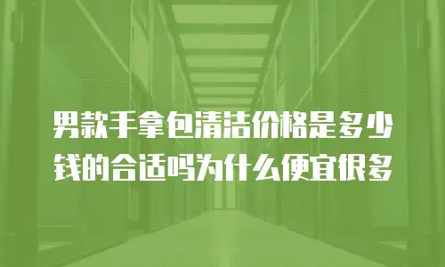 男款手拿包清洁价格是多少钱的合适吗为什么便宜很多