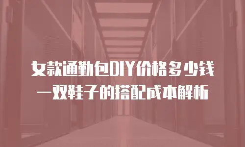 女款通勤包DIY价格多少钱 一双鞋子的搭配成本解析