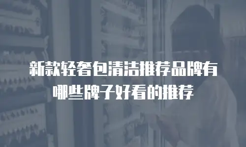 新款轻奢包清洁推荐品牌有哪些牌子好看的推荐