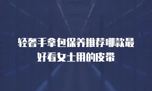 轻奢手拿包保养推荐哪款最好看女士用的皮带