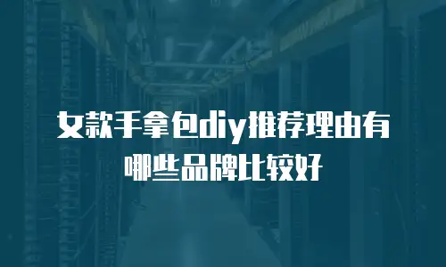 女款手拿包diy推荐理由有哪些品牌比较好
