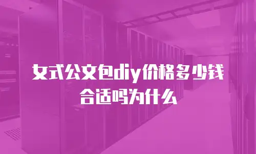 女式公文包diy价格多少钱合适吗为什么
