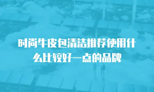 时尚牛皮包清洁推荐使用什么比较好一点的品牌