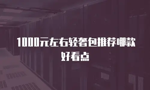 1000元左右轻奢包推荐哪款好看点