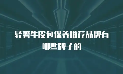 轻奢牛皮包保养推荐品牌有哪些牌子的