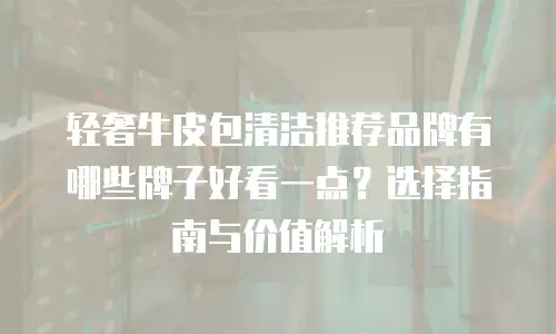 轻奢牛皮包清洁推荐品牌有哪些牌子好看一点？选择指南与价值解析