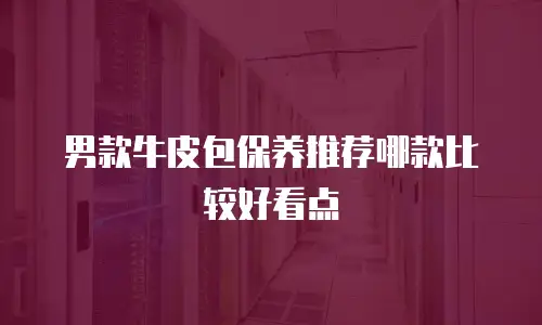 男款牛皮包保养推荐哪款比较好看点