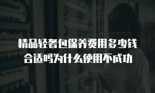精品轻奢包保养费用多少钱合适吗为什么使用不成功