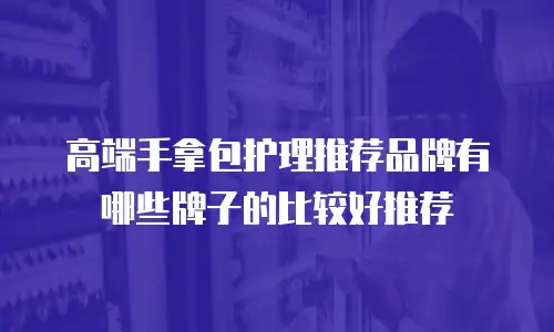 高端手拿包护理推荐品牌有哪些牌子的比较好推荐