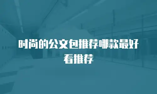 时尚的公文包推荐哪款最好看推荐