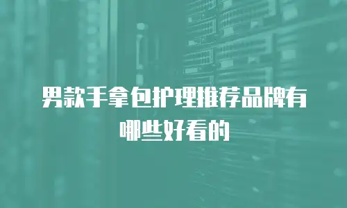 男款手拿包护理推荐品牌有哪些好看的