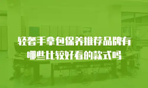 轻奢手拿包保养推荐品牌有哪些比较好看的款式吗