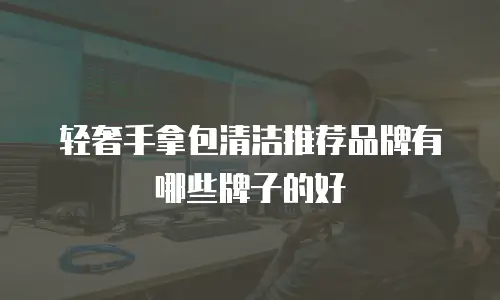轻奢手拿包清洁推荐品牌有哪些牌子的好
