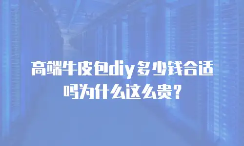 高端牛皮包diy多少钱合适吗为什么这么贵？