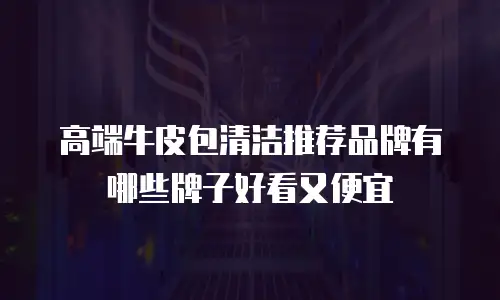 高端牛皮包清洁推荐品牌有哪些牌子好看又便宜